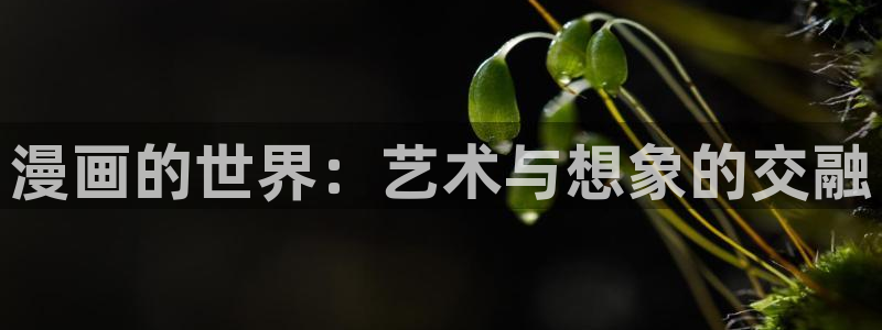 歪歪漫画韩国免费看：漫画的世界：艺术与想象的交融